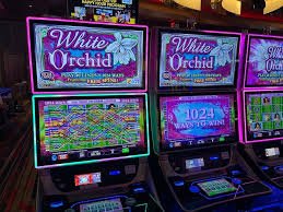 win richer